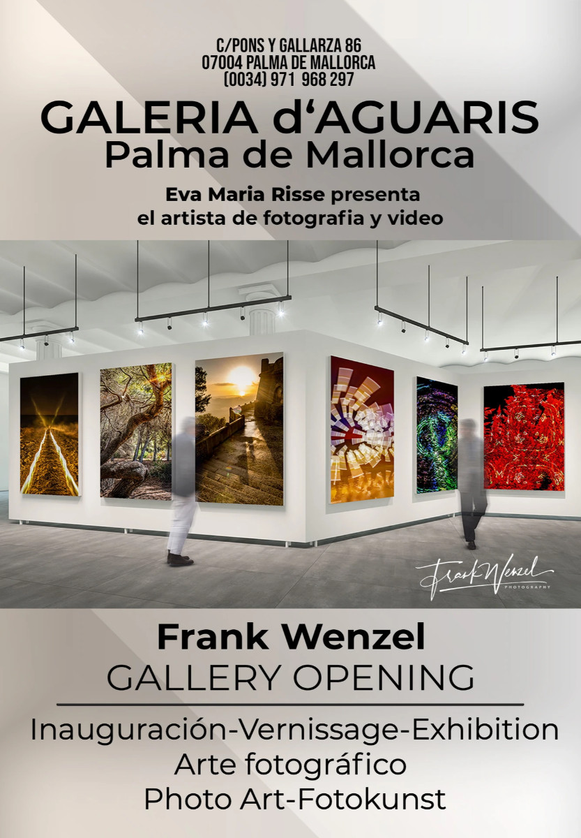 GALERÍA DE AGUARIS - PALMA DE MALLORCA sur le site d’ARTactif