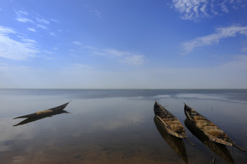 Le fleuve En el sitio ARTactif