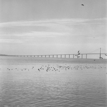 PONT DE SAINT NAZAIRE 1 En el sitio ARTactif