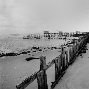 LES CARRELETS 1 En el sitio ARTactif