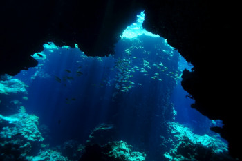 Grotte sous marine En el sitio ARTactif