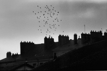 LES TOITS DE NANTES En el sitio ARTactif