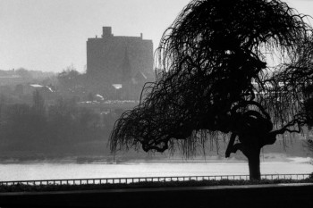 IMMEUBLE LE CORBUSIER En el sitio ARTactif