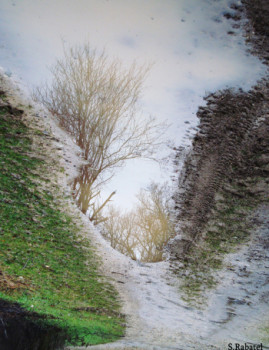 Obra contemporánea nombrada « reflet 2 », Hecho por SYLVIE RABATEL