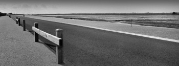 L'ALLÉE JACOBSEN ÎLE DE NOIRMOUTIER En el sitio ARTactif