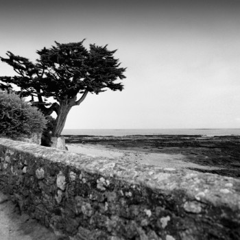 PLAGE DES CHEVRETTES NOIRMOUTIER En el sitio ARTactif