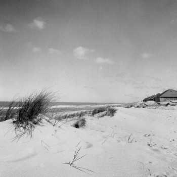 PLAGE DU SUD OUEST 1 En el sitio ARTactif