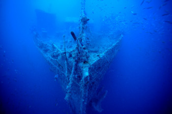 ÉTRAVE DU THISTLEGORM En el sitio ARTactif