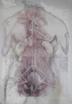 Obra contemporánea nombrada « anatomie IV-volte », Hecho por JELENA REMETIN