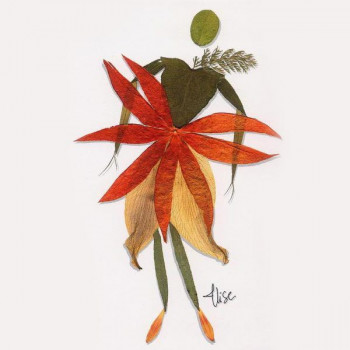 n° 68 - Physalis En el sitio ARTactif