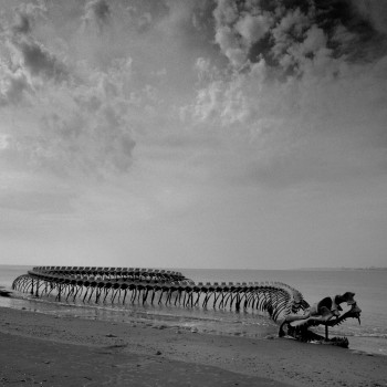 LE SERPENT DE SAINT BREVIN En el sitio ARTactif