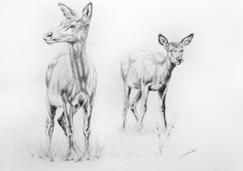 Obra contemporánea nombrada « Dessin de biches », Hecho por DE PORET JB