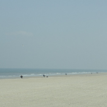 PROMENADE SUR LA PLAGE 2(trouville) En el sitio ARTactif