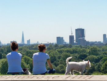 Primrose hill 01 En el sitio ARTactif