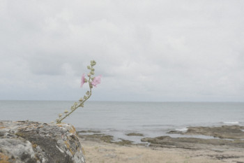 LA PLAGE DES CHEVRETTES En el sitio ARTactif