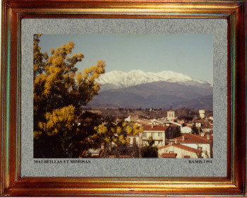 Obra contemporánea nombrada « Catalogne nord, Maureillas et mimosas 1994 », Hecho por EMILE RAMIS