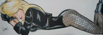 Obra contemporánea nombrada « black canary  1 », Hecho por DC ARTWORK