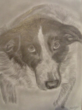 Obra contemporánea nombrada « chien », Hecho por KATATTOO28