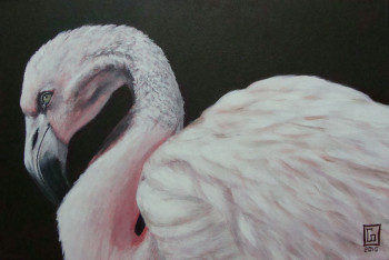 Obra contemporánea nombrada « Flamand rose », Hecho por CONSTANT ORION