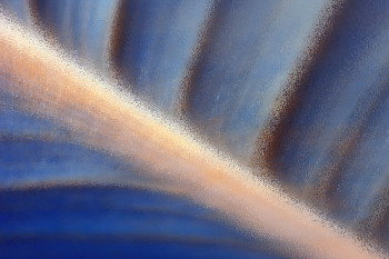 Obra contemporánea nombrada « Feuille 05 », Hecho por FRéDéRIC DIDILLON