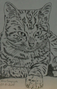 Obra contemporánea nombrada « Chat 3 », Hecho por ANGELINO CAMPIGOTTO