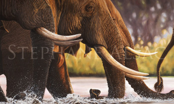 Obra contemporánea nombrada « "Elephants Crossing" », Hecho por STéPHANE ALSAC