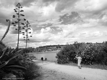 Le lac 7 En el sitio ARTactif