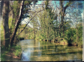 Nature 2 En el sitio ARTactif