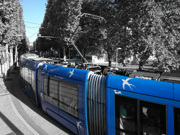 TRAM 2 En el sitio ARTactif