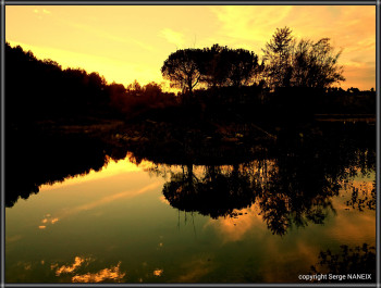 Reflets du soir En el sitio ARTactif