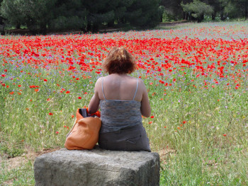 Les coquelicots En el sitio ARTactif