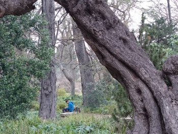 Jardin des plantes extraordinaire En el sitio ARTactif