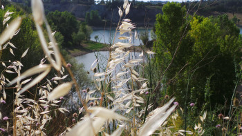 Le souffle du vent En el sitio ARTactif