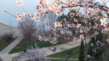 Promenade 2 En el sitio ARTactif