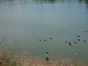 La pêche aux canards En el sitio ARTactif