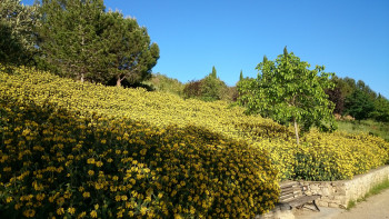 Au milieu des fleurs En el sitio ARTactif