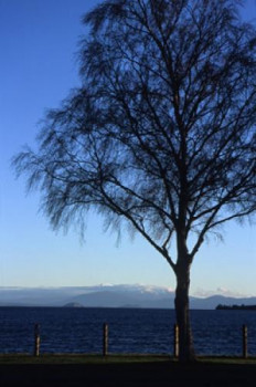 Obra contemporánea nombrada « Bleu », Hecho por FLOPHOTOGRAPHE