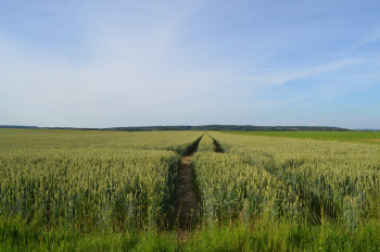 Route de l'été En el sitio ARTactif