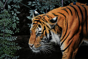 Obra contemporánea nombrada « Tigre -  40 x 60 cm , hyperrealism, photorealism wild life, wild animal , realistic, wild cat tiger  », Hecho por ELENA DMITRENKO