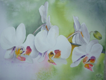 Obra contemporánea nombrada « Orchidées blanches », Hecho por JACQUES MASCLET