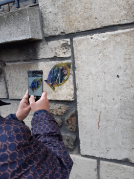 Obra contemporánea nombrada « Poisson 242 & nu », Hecho por FAHIMA BOUBIA... NU