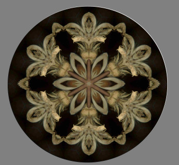 Obra contemporánea nombrada « VAISSELLE N° 87 », Hecho por DEKORTRONIK