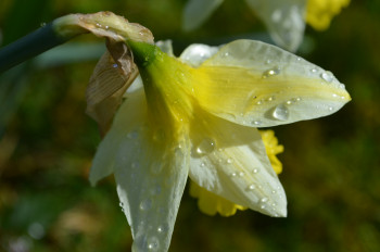 Après la pluie En el sitio ARTactif