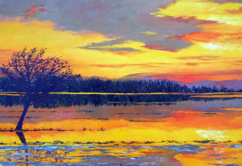 Obra contemporánea nombrada « Lumière », Hecho por GYSLAINE PACHET MICHENEAU