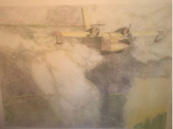 Obra contemporánea nombrada « Canadair. », Hecho por DIDIER SITAUD