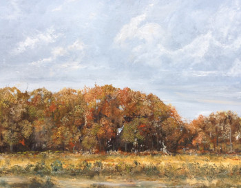 Obra contemporánea nombrada « Automne Orléanais », Hecho por HUGHES DE LA TAILLE