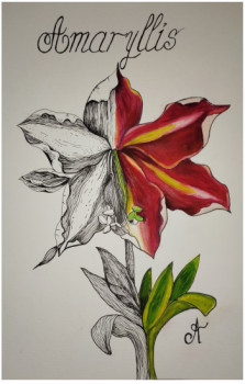 Obra contemporánea nombrada « Amaryllis », Hecho por CHRISTELLE ROUX