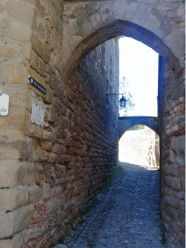 Obra contemporánea nombrada « Dans les petites rues, de la Cité Médiévales », Hecho por HéLèNE PALAZY