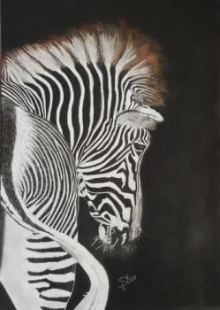 Obra contemporánea nombrada « ZEBRE », Hecho por SYLOU