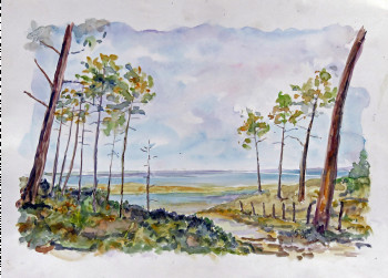 Obra contemporánea nombrada « Le bassin d' Arcachon vu de péreire », Hecho por MICHEL HAMELIN